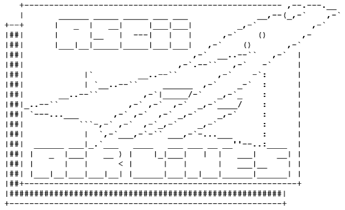 ascii airlines