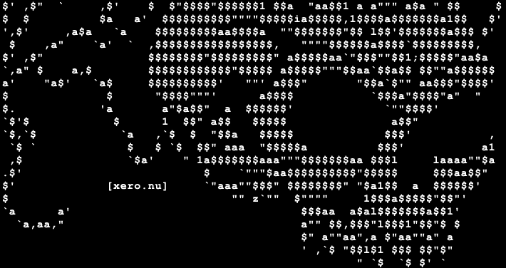 ghost rider ascii - partial view